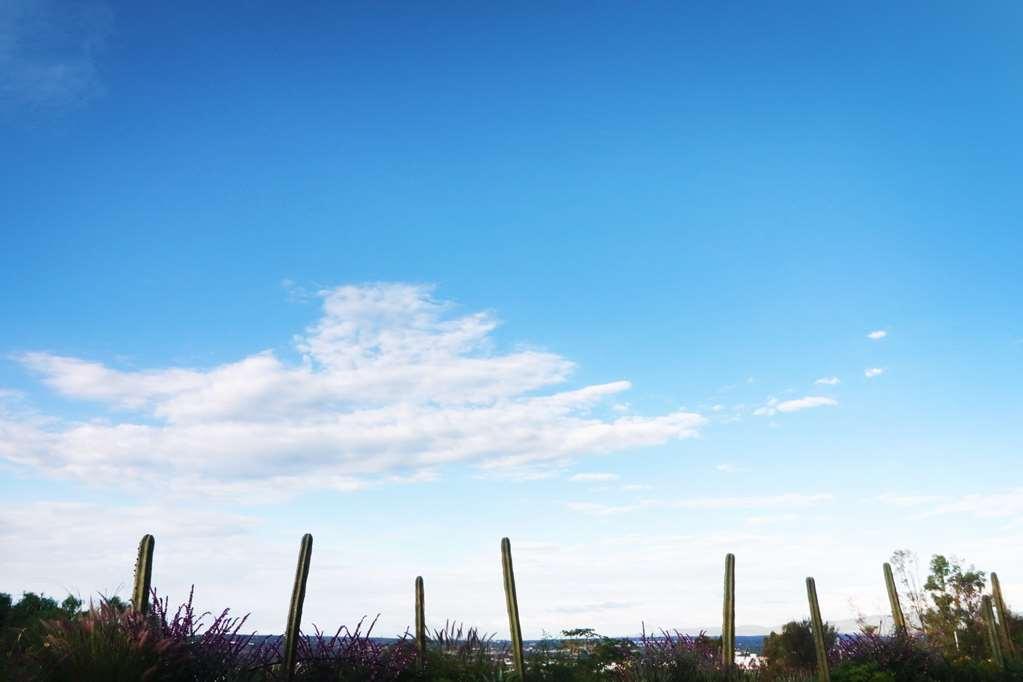 Albor San Miguel De Allende Tapestry Collection By Hilton מראה חיצוני תמונה