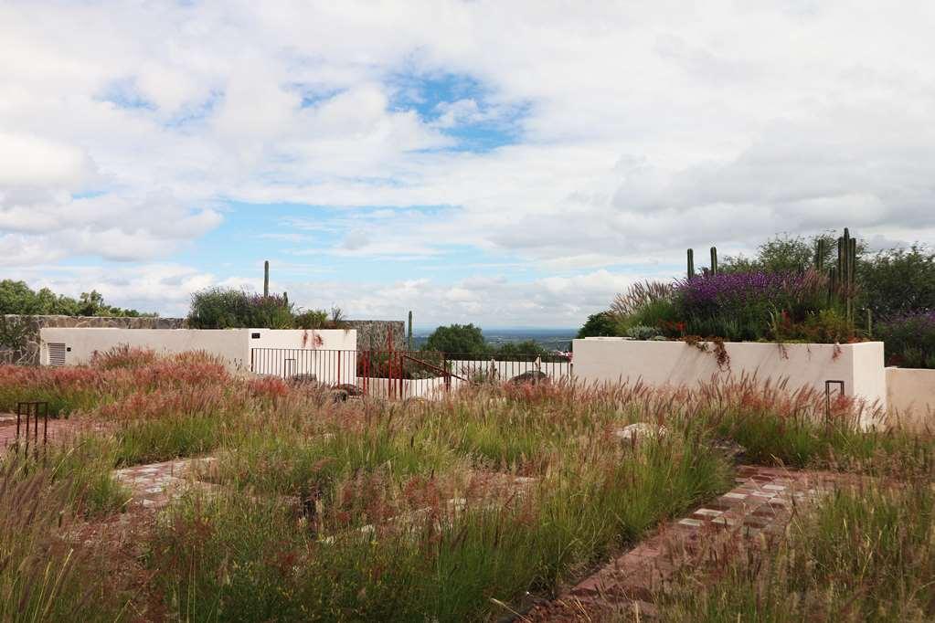 Albor San Miguel De Allende Tapestry Collection By Hilton מראה חיצוני תמונה